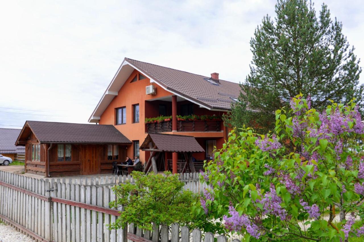 Casa Teo&Andreea Hotel Vatra Dornei Buitenkant foto
